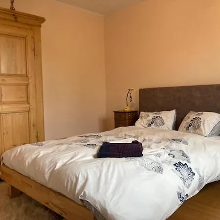 Les Pommiers - Climatisees ロスハイム